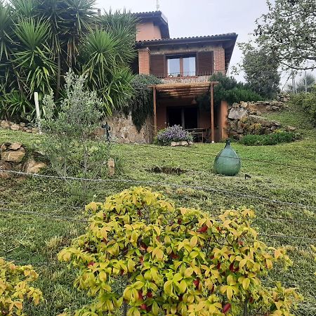 Maremma Che Vista! Διαμέρισμα Campagnatico Εξωτερικό φωτογραφία