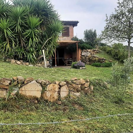 Maremma Che Vista! Διαμέρισμα Campagnatico Εξωτερικό φωτογραφία