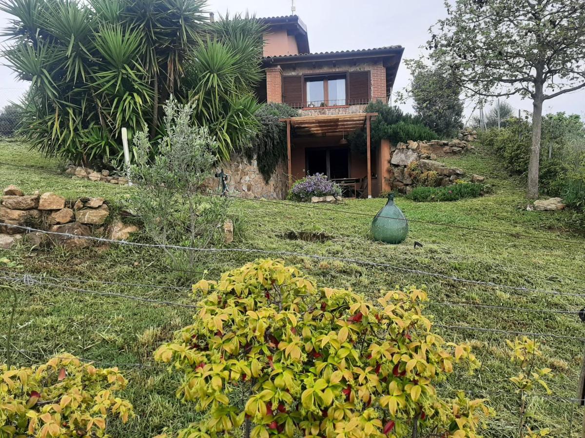 Maremma Che Vista! Διαμέρισμα Campagnatico Εξωτερικό φωτογραφία