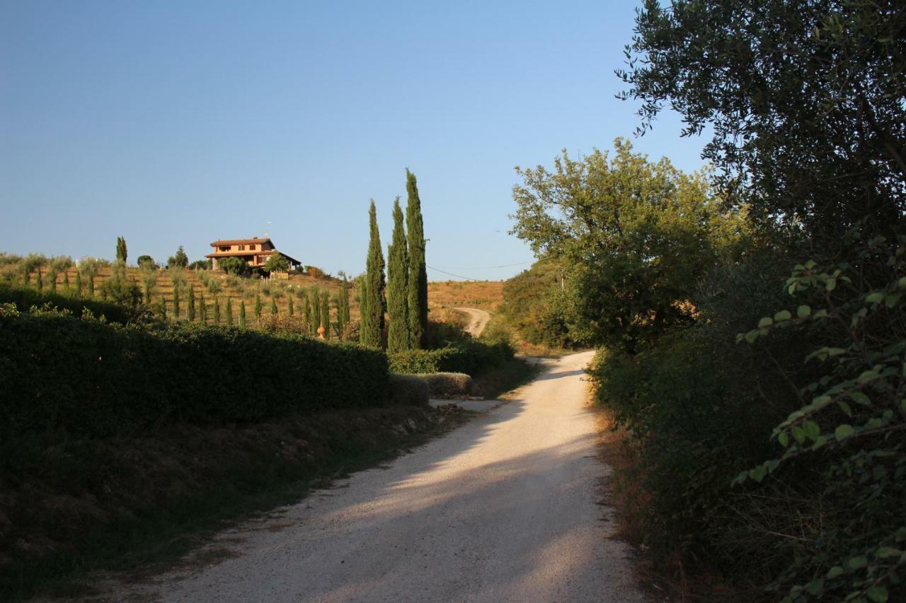 Maremma Che Vista! Διαμέρισμα Campagnatico Εξωτερικό φωτογραφία