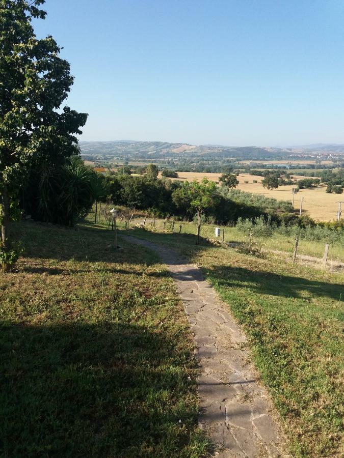 Maremma Che Vista! Διαμέρισμα Campagnatico Εξωτερικό φωτογραφία