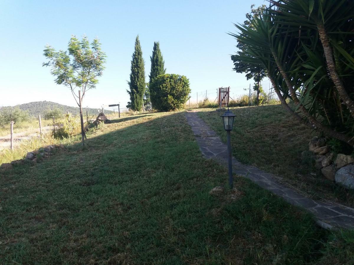 Maremma Che Vista! Διαμέρισμα Campagnatico Εξωτερικό φωτογραφία