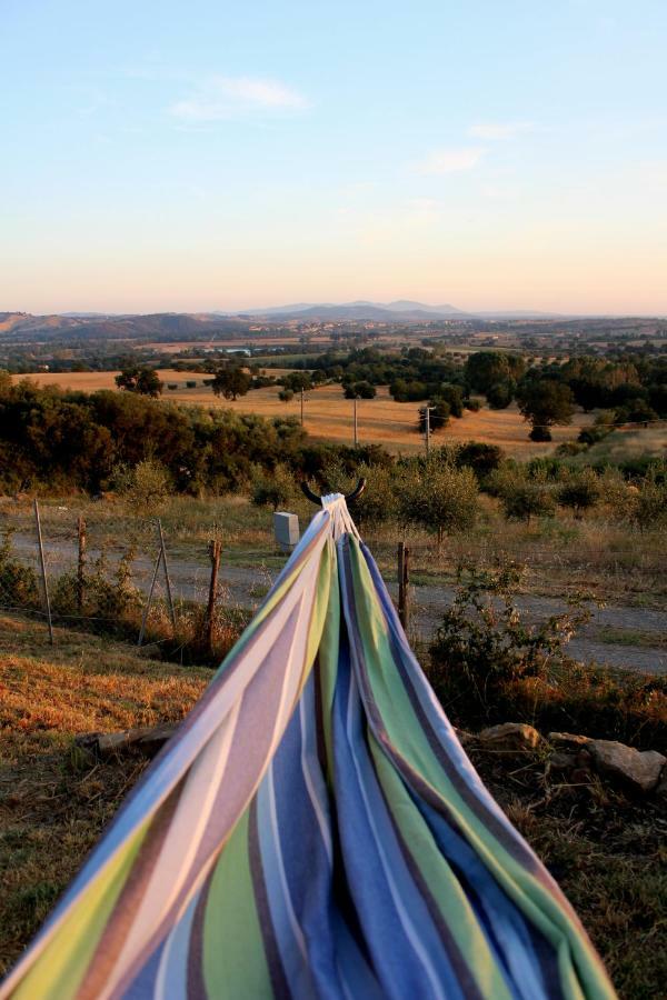 Maremma Che Vista! Διαμέρισμα Campagnatico Εξωτερικό φωτογραφία