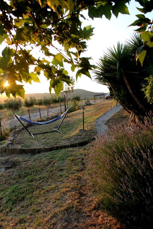 Maremma Che Vista! Διαμέρισμα Campagnatico Εξωτερικό φωτογραφία
